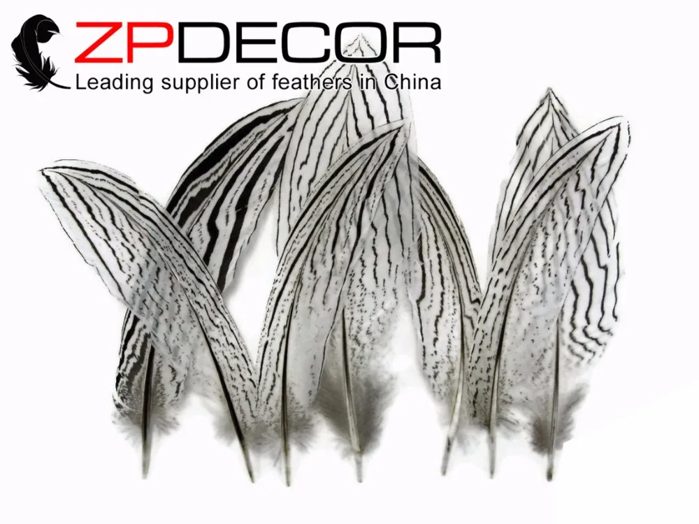 

Ведущий поставщик ZPDECOR 15-20 см (6-8 дюймов) Хорошее качество натуральный белый серебряный перо фазана для украшения костюма