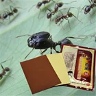 Пластырь DISAAR с эфирным маслом черного муравья помощь в лечении, для шейного отдела спина поясница, дисковый выступ 8 шт.пакет