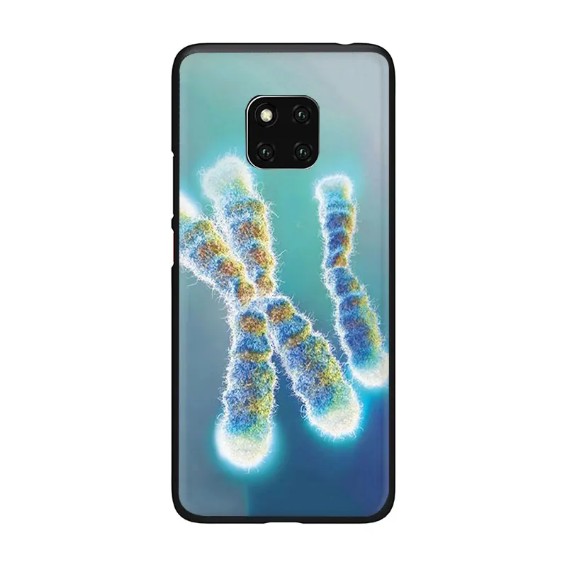 B1 Ретро ДНК научная иллюстрация мягкий чехол для телефона huawei P8 P9 P10 P20 P30 mate 10 20 30 Pro Lite Mini P Smart - Цвет: B1