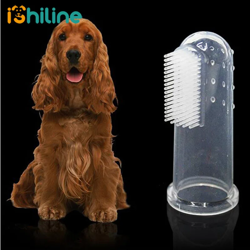 Зубная щетка для собак и кошек 5 шт. ухода за зубами кошек|Аксессуары собак| |