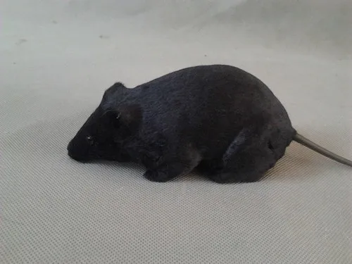 

simulation Black mouse toy polyethylene&furs mouse model funny gift about 10cm