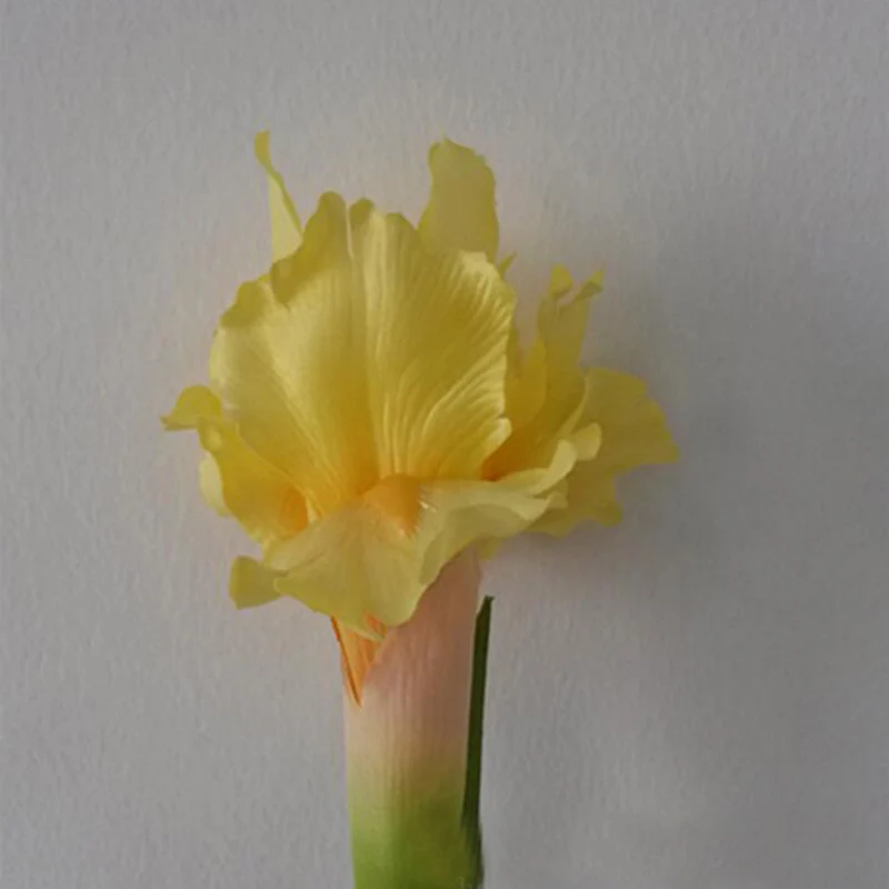 10 шт искусственный шелк радужной оболочки Цветы Свадебная вечеринка украшения