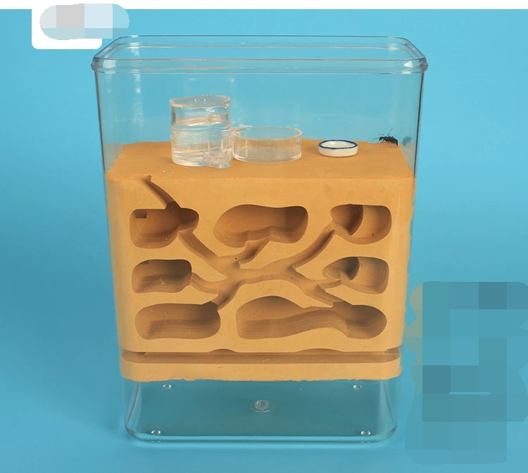 Профессиональное Муравьиное гнездо с композитным пластырем экологическое