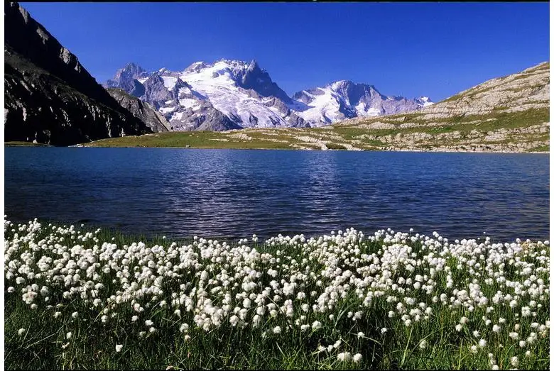 3d фотообои на заказ для стен 3 d настенные фрески hd цветы ландшафт озеро