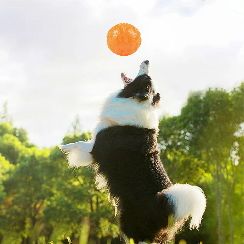 Обучающие жевательные игрушки для домашних животных резиновый поплавок