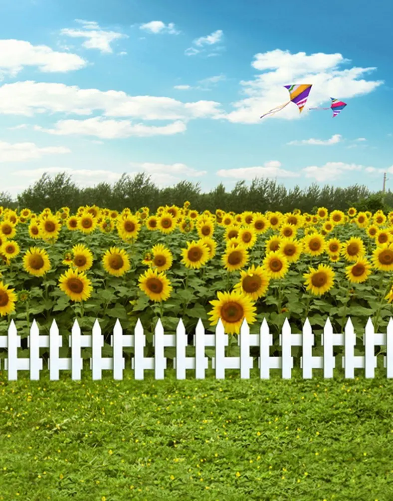 

5x7ft Lawn Yellow Sunflowers Blue Sky Photography Backdrops Photo Props Studio Background