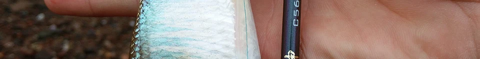 TSURINOYA 2Secs 1,4 m спиннинговое удилище UL 1-6g/2-6LB пробковая ручка углеродное спиннинговое удилище Vara De Pesca Olta Cana De Pescar Peche