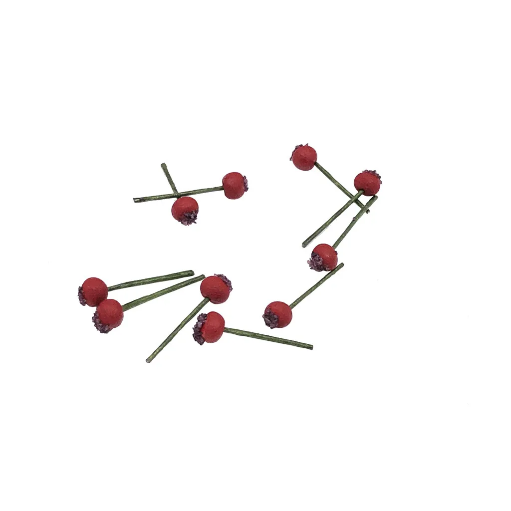 Hawthorn 10 шт. искусственные Миниатюрные овощи фрукты игровой кукольный домик игрушка декоративное ремесло Kawaii DIY огурец аксессуары - Цвет: Hawthorn