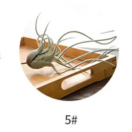Bulbosa хлопок конфеты Детские Осьминог Искусственные Поддельные airplant тилландсия Capitata Steptophylla usneoid как настоящие растения суккулент - Цвет: No.5