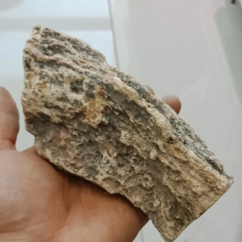 DHXYZB 200-600 г натуральное окаменелое дерево камень сырой камень Кристалл кварц минеральный с лечебным действием, образцы рейки домашний декор