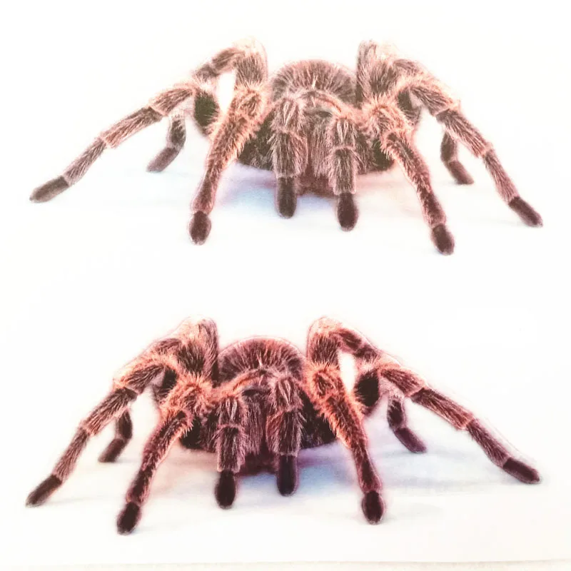 Наклейки и наклейки в виде паука для автомобиля яркие животные ящерица скорпиона