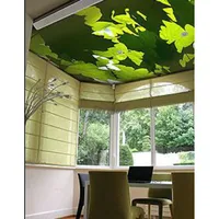 Interior decor materials Digital Printed and UV printing false and suspended ceiling pop ceiling PVC  stretch ceiling film