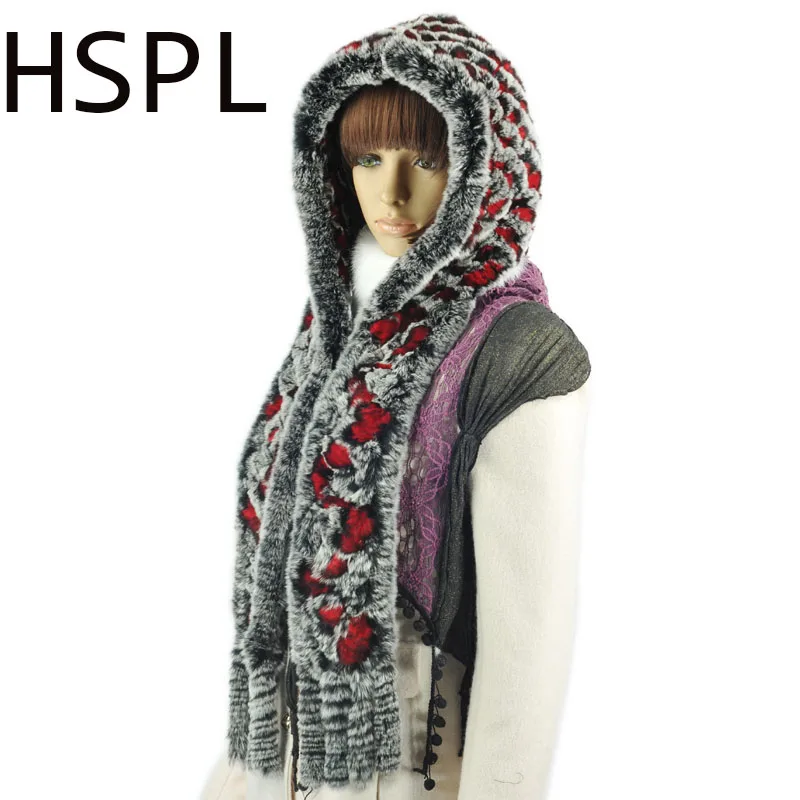 

HSPL 2017