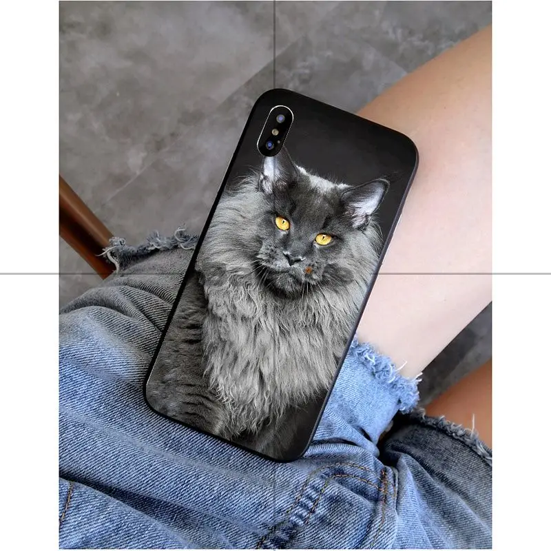 Babaite pet мейн-кун кошка черный мягкий силиконовый чехол для телефона чехол для Apple iPhone 8 7 6 6S Plus X XS MAX 5 5S SE XR Чехол для мобильного телефона s