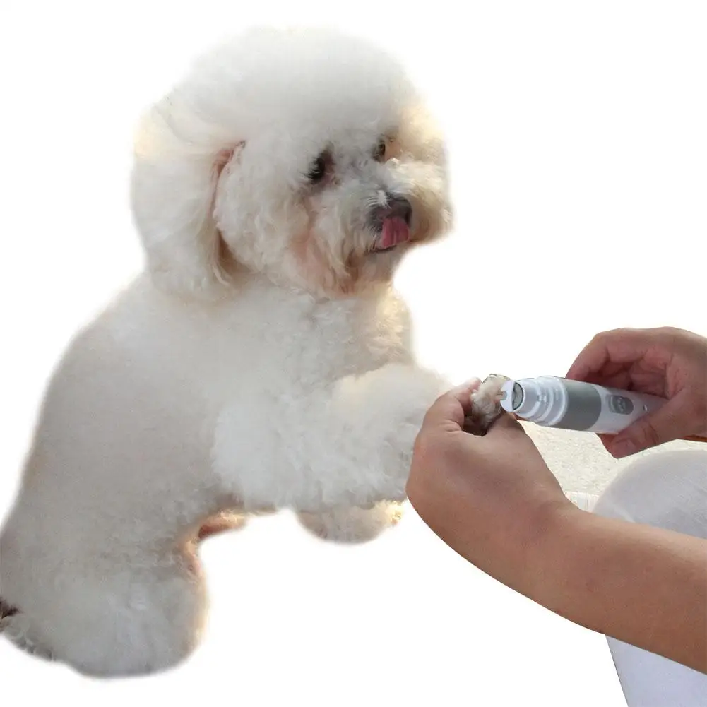 Электрический автоматический шлифовальный станок для ногтей Кошка Собака