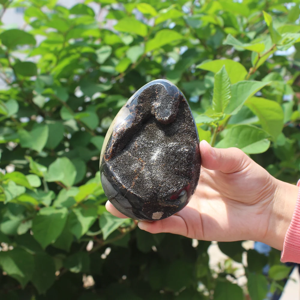 

700g Natural curvature of the furnishing articles Turtle grain stone egg Ball Septarian nodule Fossil Crystal Healing quartz 46