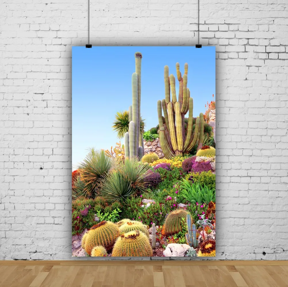 Laeacco Flowers Cactus Prickly Pear Baby Children Natural Scenic Photographic Backgrounds Photography Backdrops For Photo Studio |
