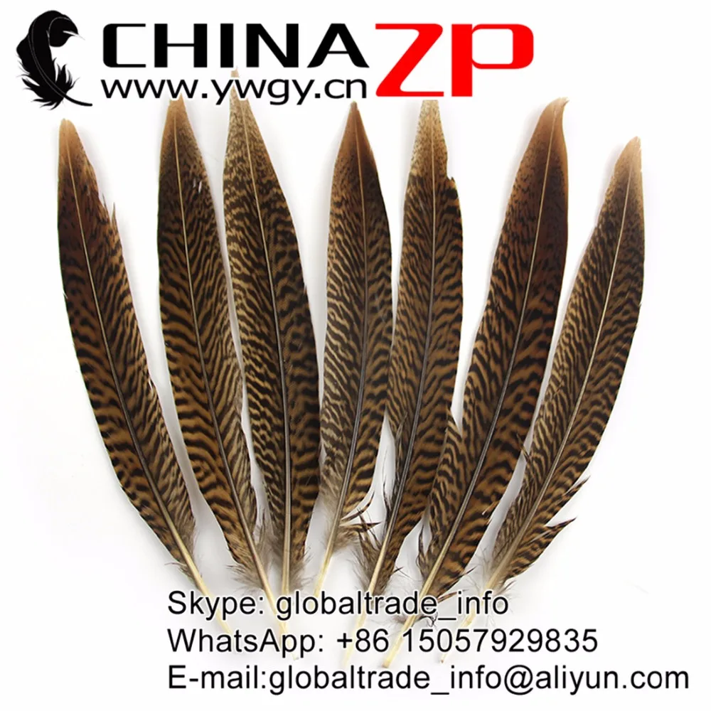 Перья CHINAZP 20 ~ 25 см (8 10 дюймов) короткий размер натуральный Золотой фазан
