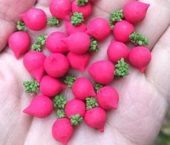 10 шт./лот, миниатюрный кукольный домик 1: 12, Овощная пища для кукол, Пластиковая форма, пищевая глина, овощи для кукол Blyth, домик для девочек, игрушка - Цвет: red raddish