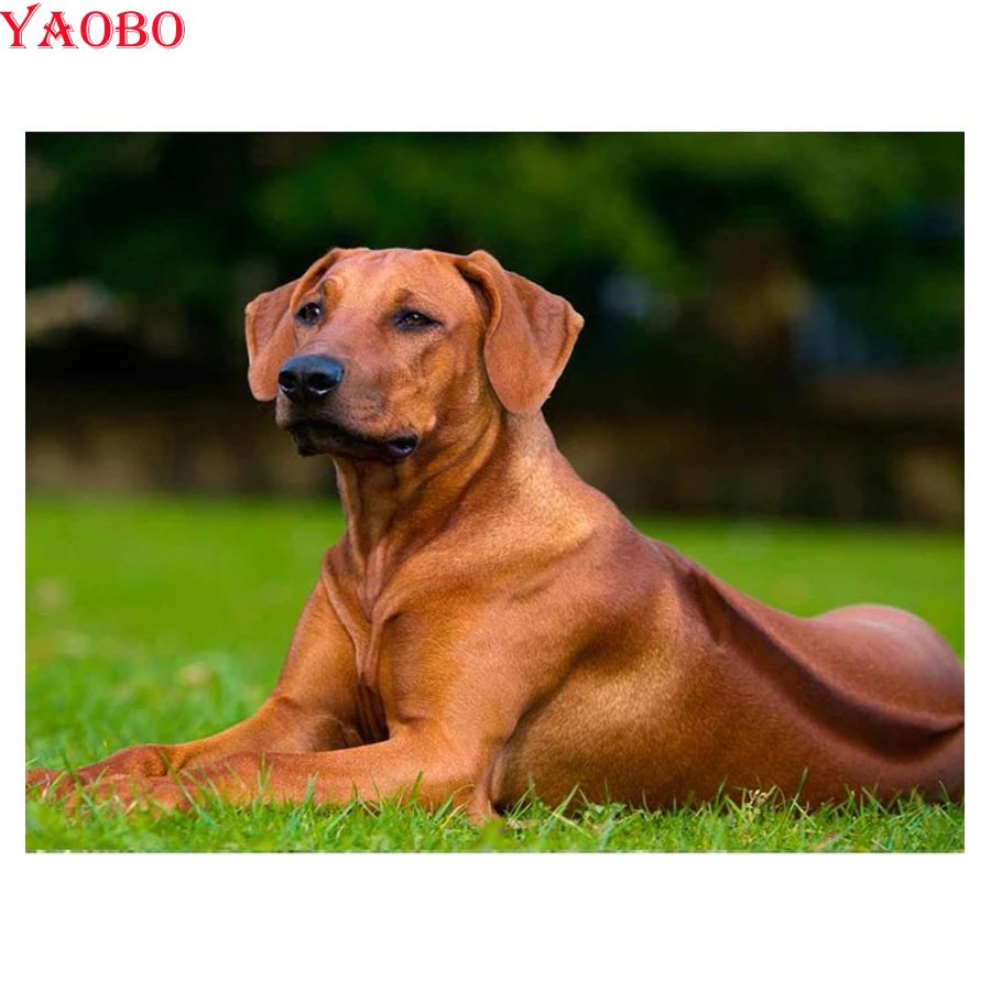 Полный 3d Алмазная вышивка rhodesian ridgeback pet dog 5d алмазная картина мозаика Стразы