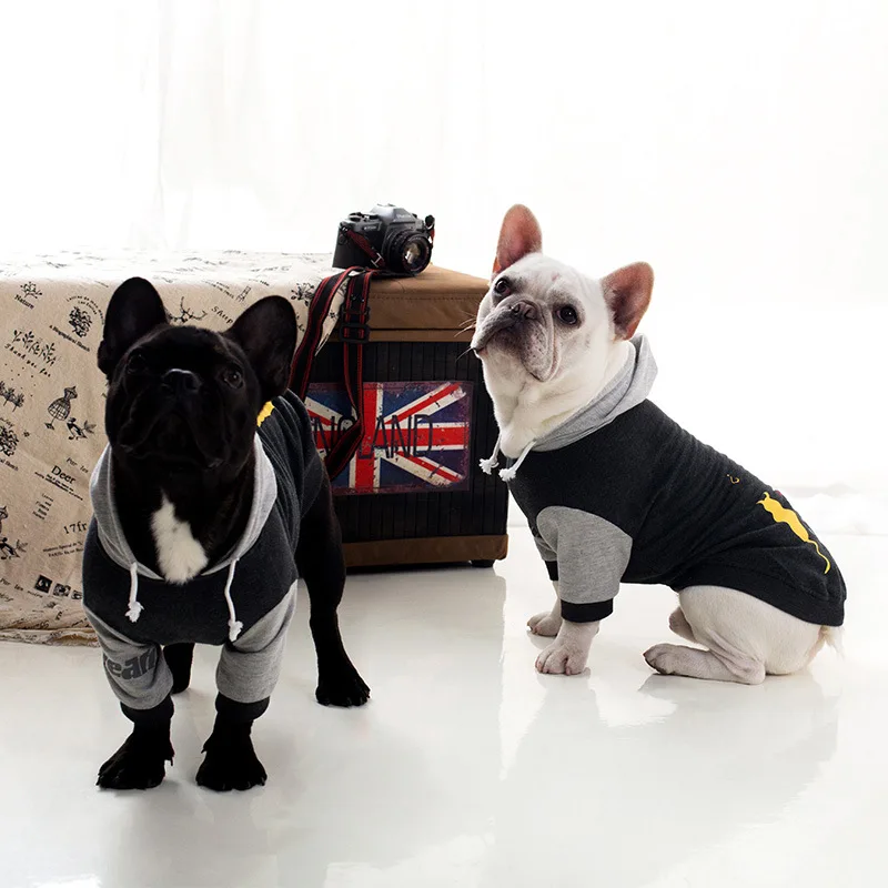 Толстовка с капюшоном для щенков чихуахуа весна-осень 2019 | Дом и сад