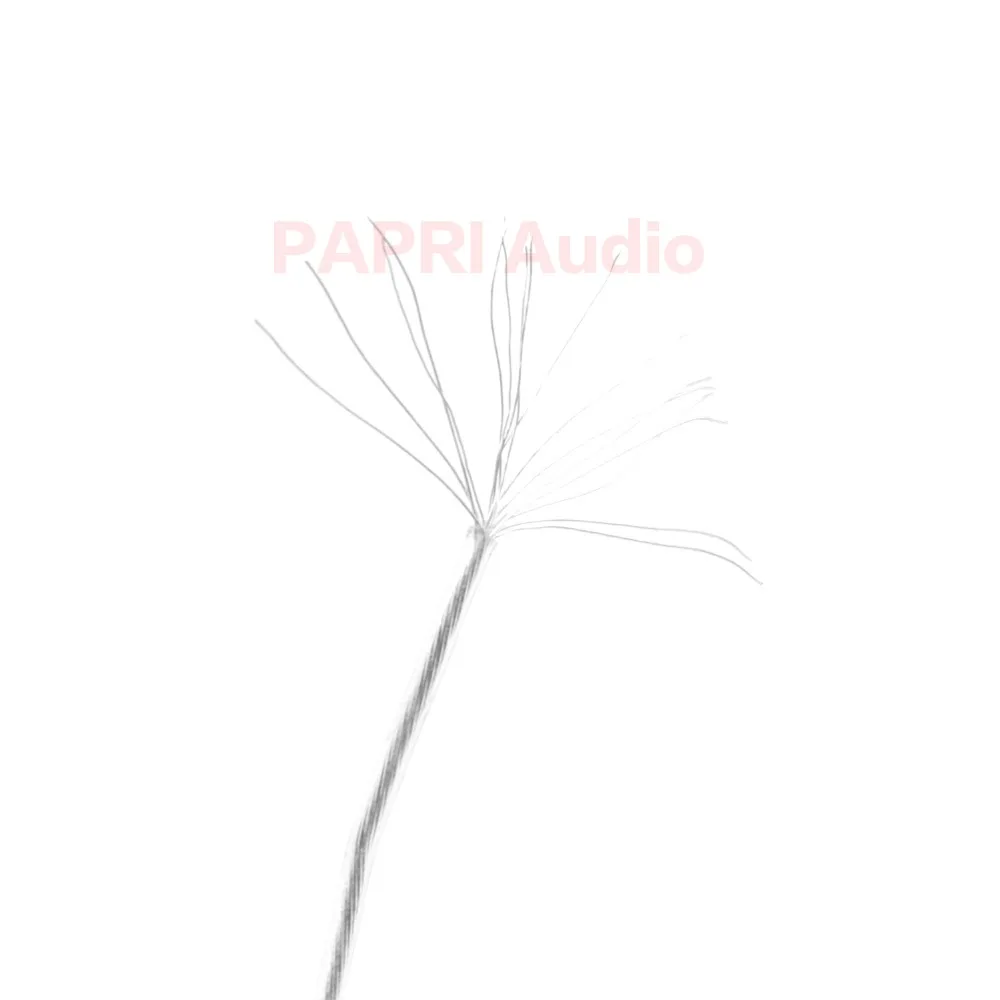 

PAPRI Newest GS03 DIY Headphone Cable DIY 4N OCC Silver Litz Structure Hifi Audio Wire For Upgrade Earphone Headsets 16Cores