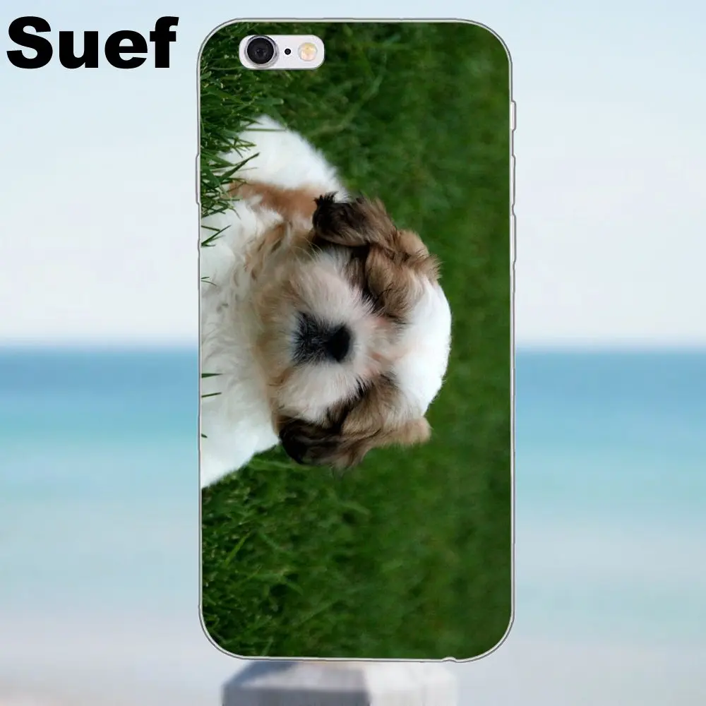 Suef Shih Tzu Shitzu Щенячий щенок для iPhone X 4 4S 5 5S 5C SE 6 6S 7 8 Plus Samsung Galaxy J1 J3 J5 J7 A3 A5 2016 2017|for