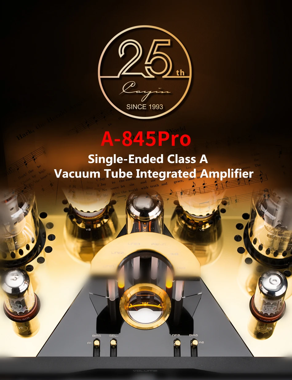 CayinA-845Pro вакуумный ламповый Интегрированный усилитель 6SN7GTB 5U4GB 300B/n 845SL одиночный класс A 25W 25th Global ограниченная распродажа