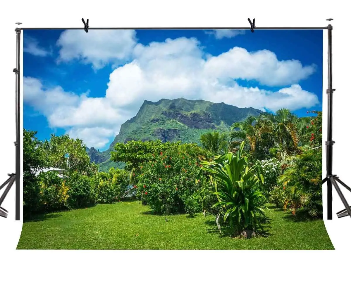 

Фон для студийной фотосъемки с изображением естественного чуда, зеленого дерева, природы и красоты, 7 Х5 футов