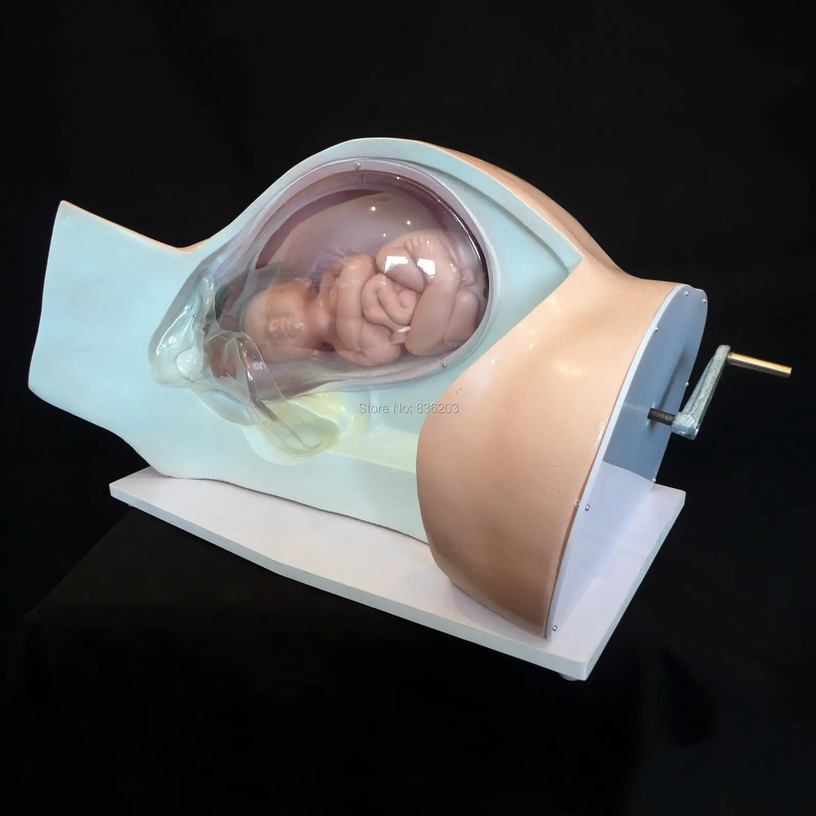 В натуральную величину для детского человека anatomie травмирования анатомический Скелет анатомический мозг череп медицинские инструменты обучение презервативы Манекен Модель