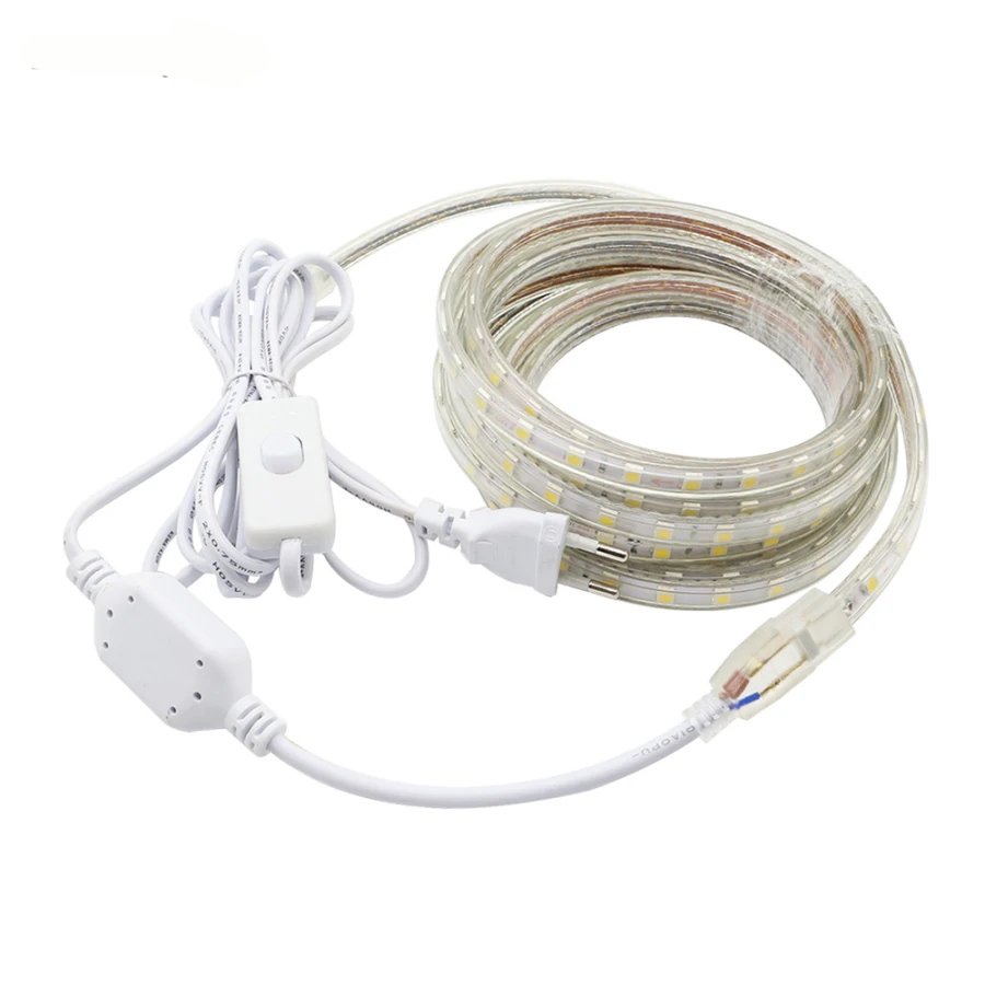 AC220V 5050 Светодиодная лента светильник 60 светодиодный s/m SMD5050 IP67 водонепроницаемый гибкий светодиодный светильник с переключателем штепсельная вилка европейского стандарта для наружного использования D9