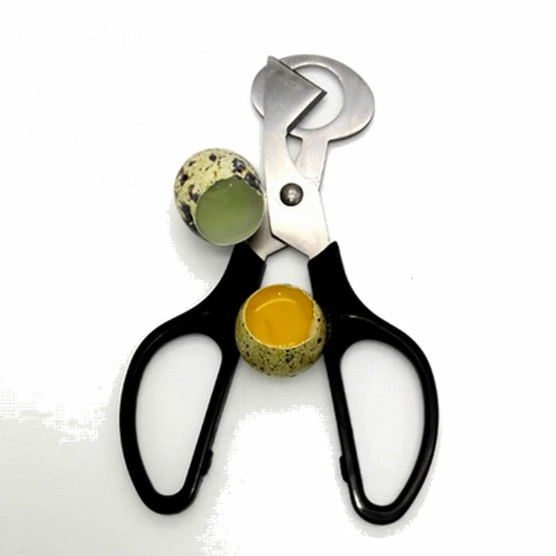 100 шт./лот ножницы для яиц голубей и перепелов яиц|egg opener|egg cutteregg scissors |