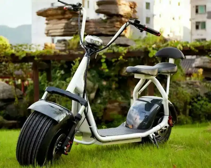 Black 60V Электрический скутер Citycoco, новинка 1000 Вт, 2 колеса, мощная литиевая батарея, двойное сиденье, мотоцикл для мужчин и женщин, Электрический скутер Citycoco - Цвет: Black 60V