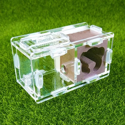 Милый мини пластырь Муравьиное гнездо 2 комнаты искусственный дом муравьиная