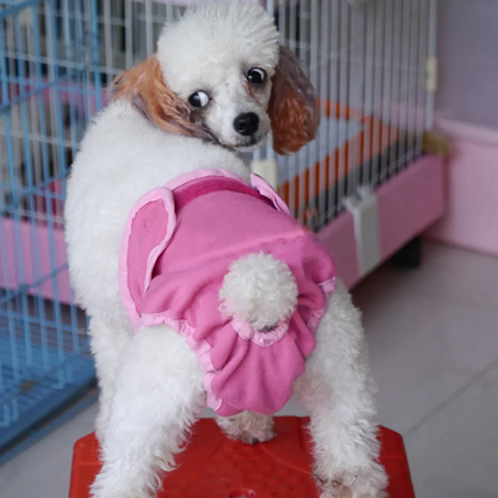 2018 моющиеся подгузники санитарные мужские защитные штаны для собак большие