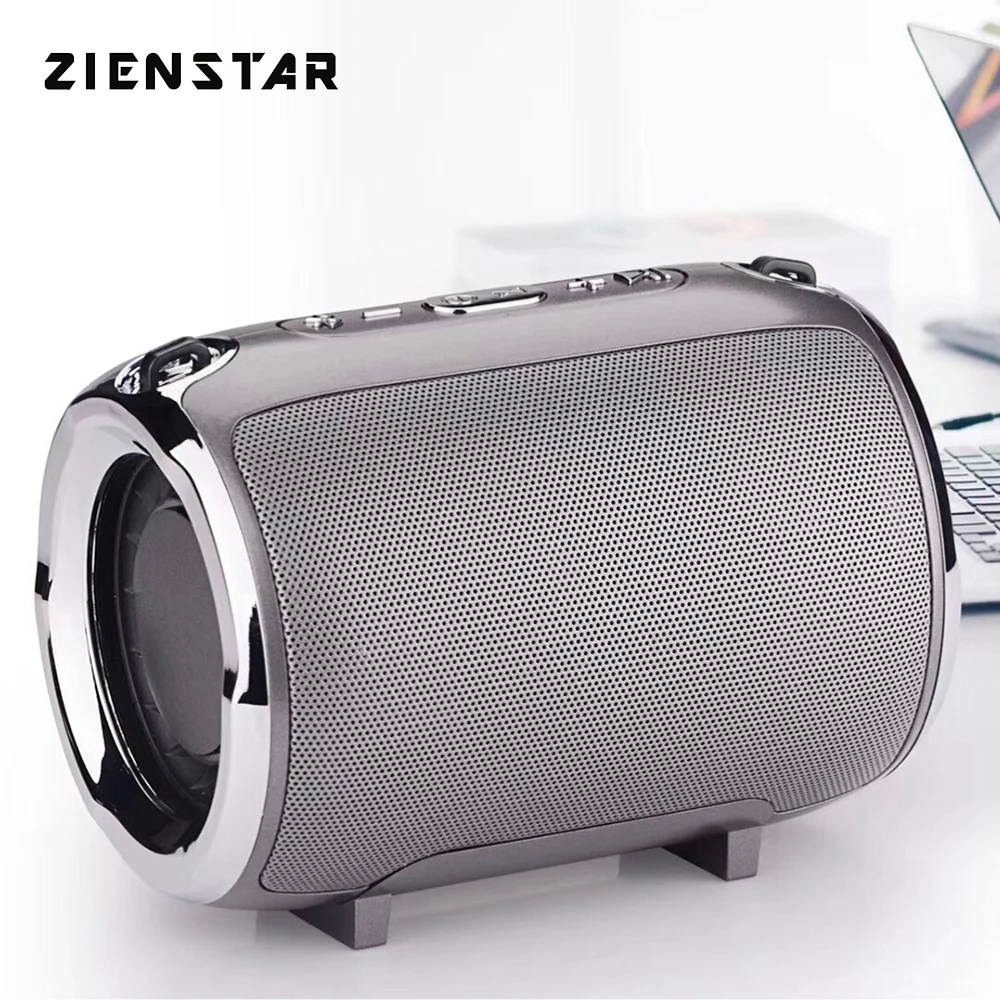 ZIENSTAR Bluetooth Speaker Wireless Portable Outdoor HIFI Column Subwoofer Sound Box with Shoulder Belt Support FM Radio TF Mp3 |