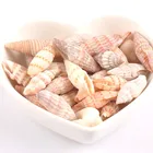 22-28 мм без отверстия естественная точка оболочки вихревой узор для DIY ручной работы ювелирные украшения ракушки украшение для альбома 25 шт TRS0247x