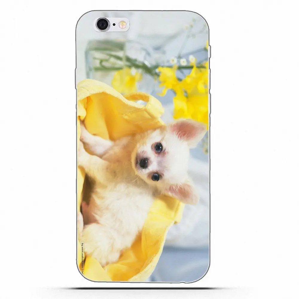 Chiwawa Собака Щенок для Huawei G7 Y6 II Y7 Xiaomi Redmi Note 2 3 5 Mi 4 4C 4I 5S 5X 6X 8 SE Pro ТПУ чехол телефона с