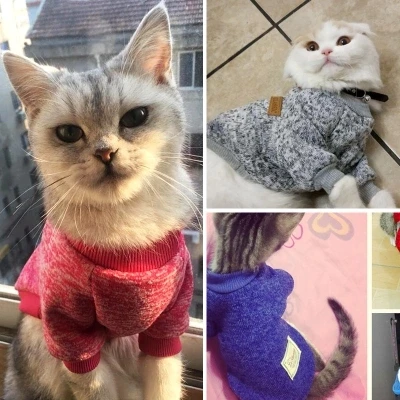Pet Four Seasons warm clothes cat sweatshirt casual Teddy cashmere knit sweater two-legged Dress |