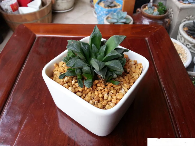 Простая белая керамическая оригинальная настольная прямоугольная для мяса