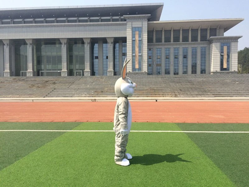 Горячая распродажа! Косплей фестиваль специальный Пасхальный кролик взрослый