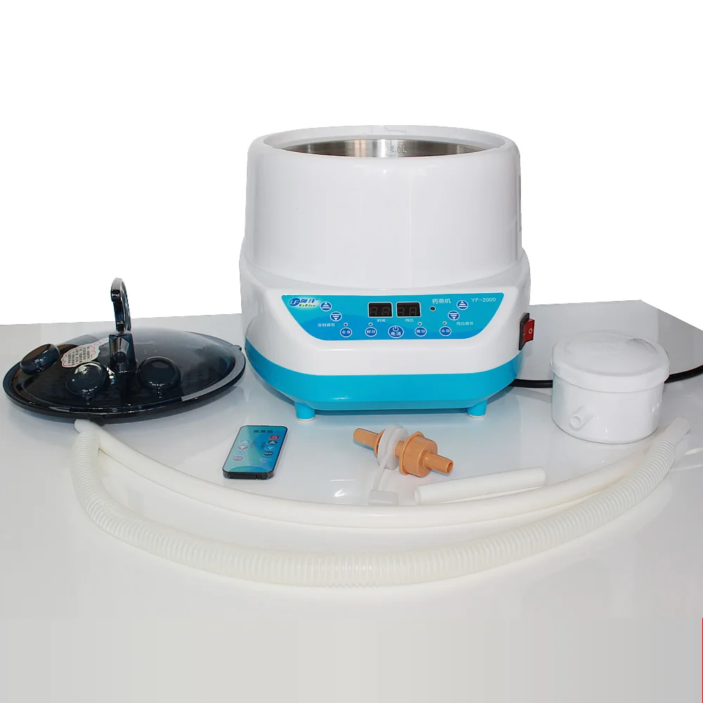 

2000W 4L Big Steam Machine Pot High-quality Stainless Steel Steamer Pot Fumigation Household Steam Engine Sauna Bath 110 Voltage