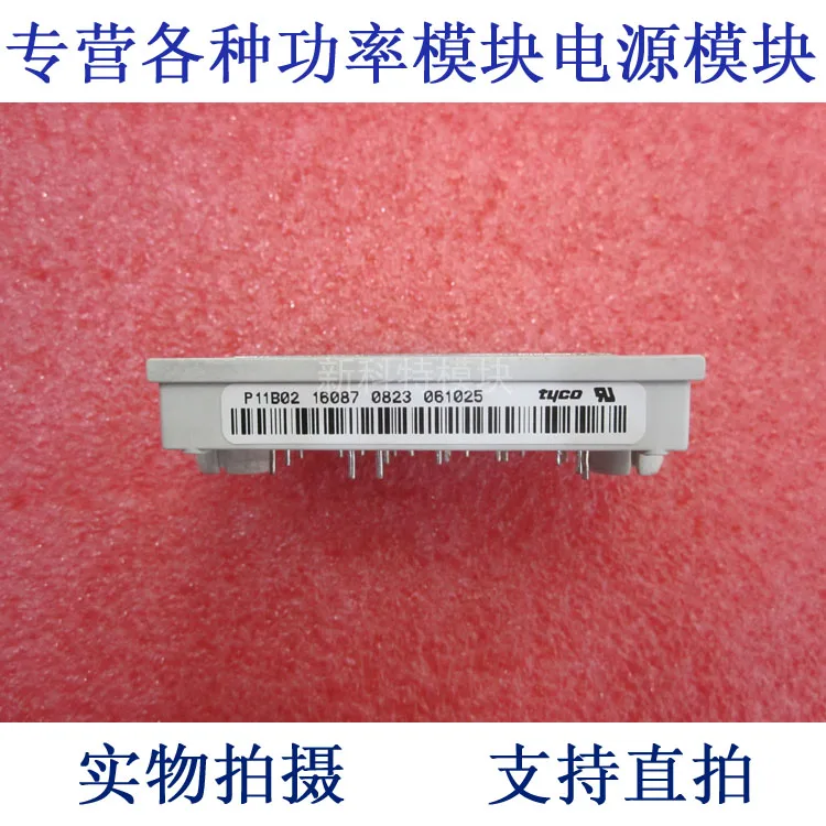

P11B02 integrated PIM variable frequency speed control module