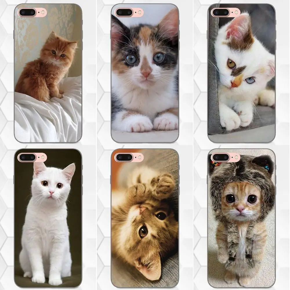 Милый чехол из мягкого ТПУ с изображением котенка для Apple iPhone X XS Max XR 4 4S 5 5S SE 6 6S 7 8