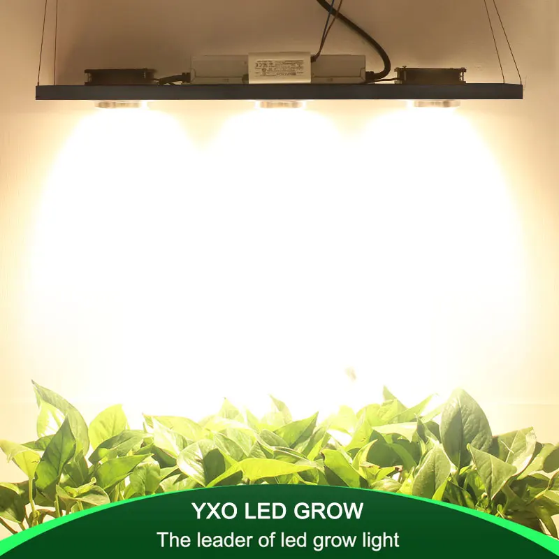 

CREE CXB3590 300W COB Dimmable LED Grow Light Full Spectrum LED Lamp 38000LM=HPS 600W Growing Lamp Indoor Plant Growth Lighting