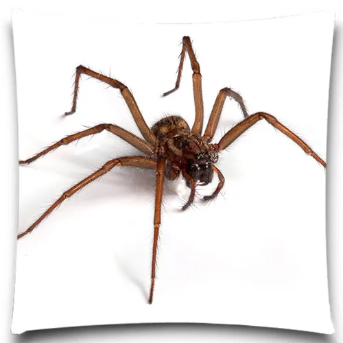 Квадратные наволочки в виде паука серые/красные/оранжевые насекомых синие и