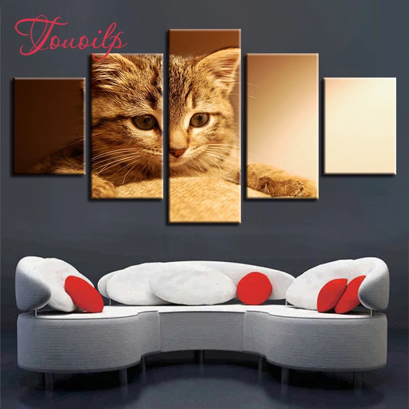 

5D DIY Full Square&round diy 5pcs Animal Cute kitten Diamond Painting Combination diamond Embroidery Mosaic Home Decor painting