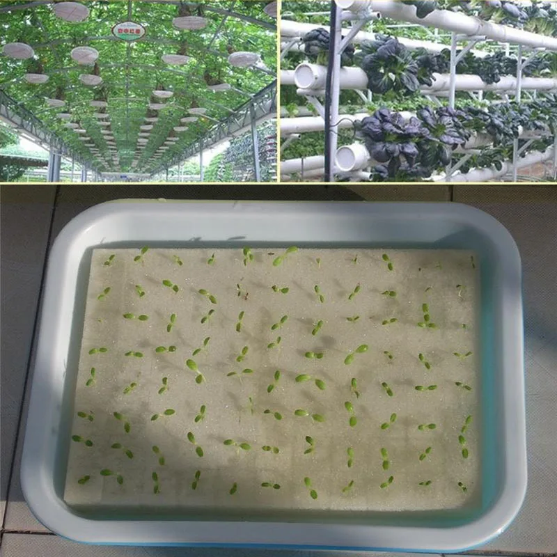 100 шт Soilless Гидропонные овощи питомник горшки губка культура система посадки воды