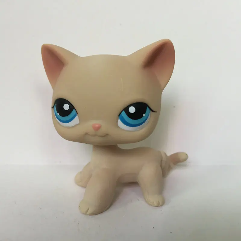 Магазин домашних животных Милая Короткая фигурка кота для детей девочка мальчик