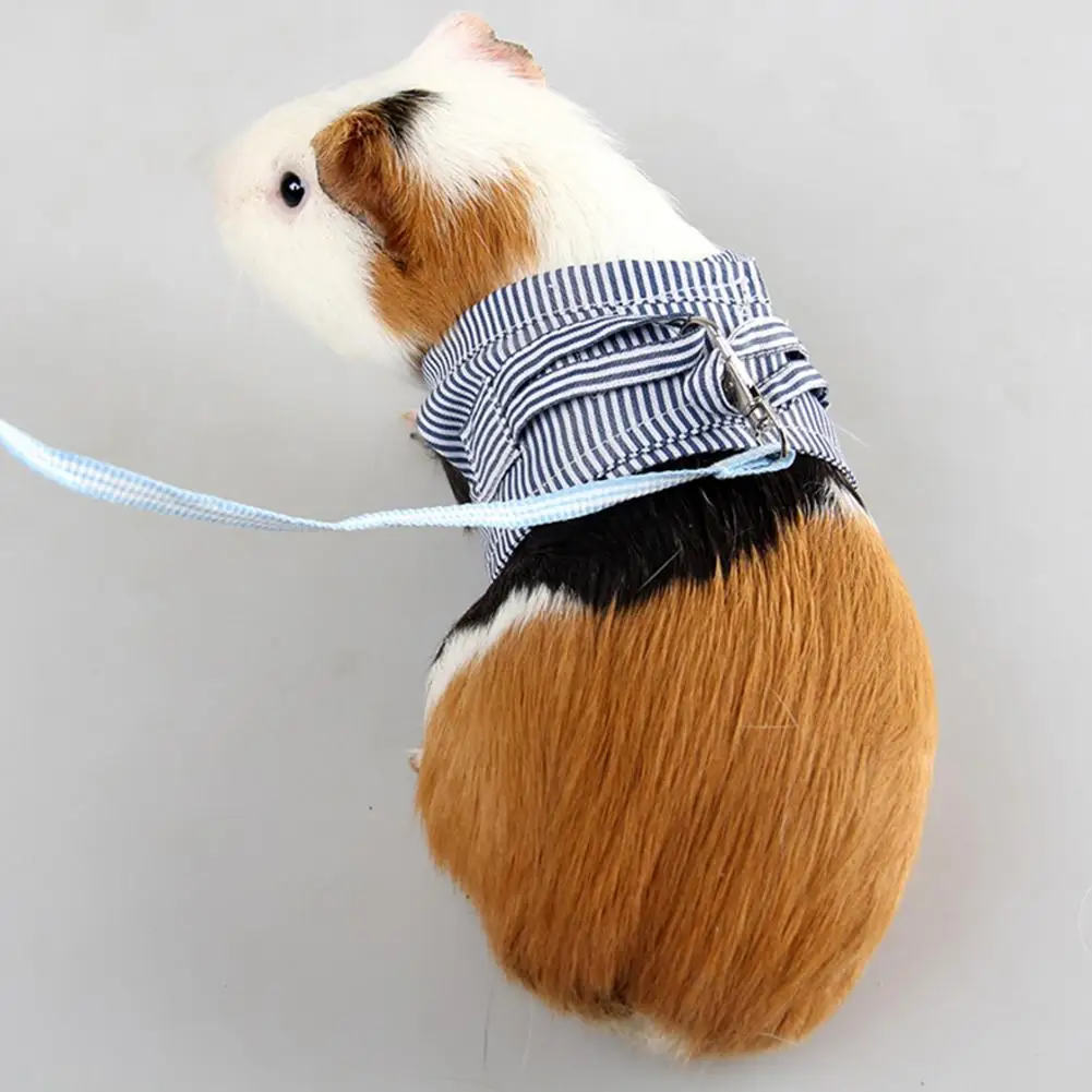 Одежда для домашних животных с двумя ножками сезон весна-лето Регулируемая